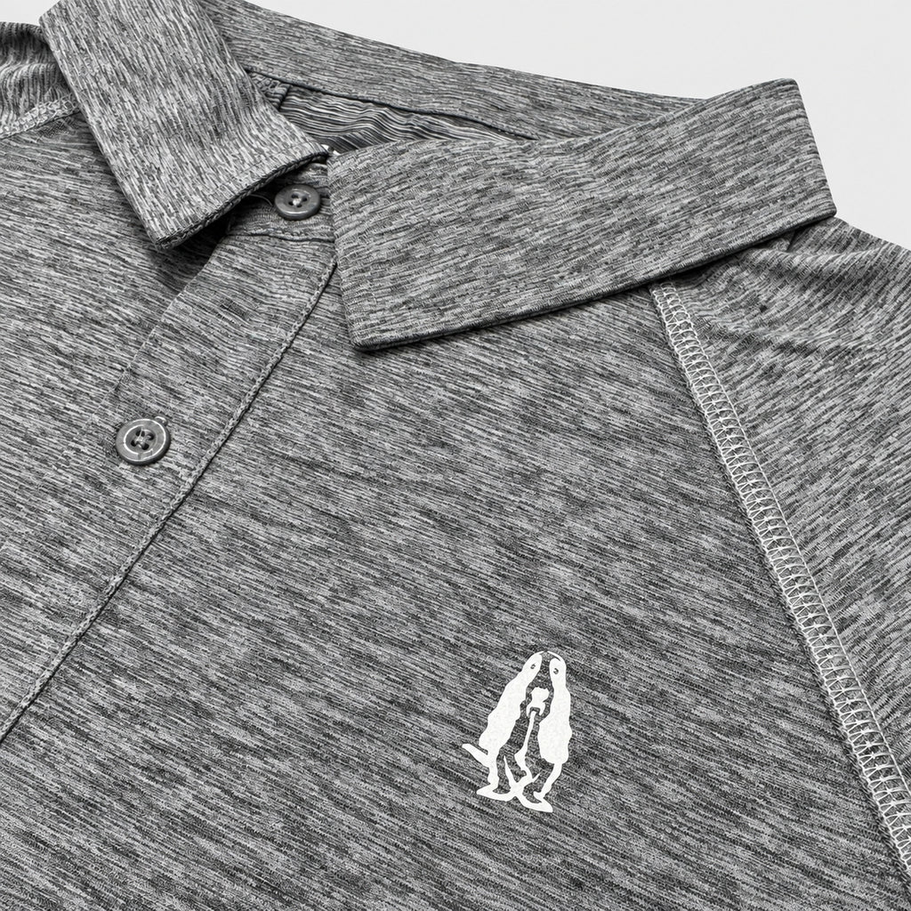 Men's Raglan Active Polo | Quick Dry | HMP651014