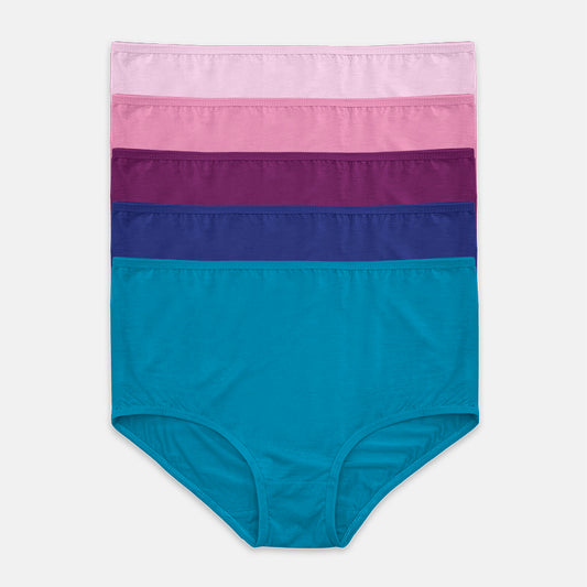 5pcs Ladies' Panties | Bamboo | Maxi | HLU409024