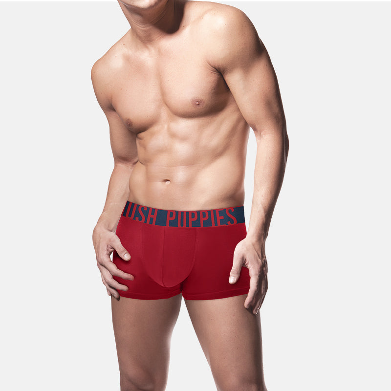 2pcs Men's Trunks | Cotton Elastane | HMK579731