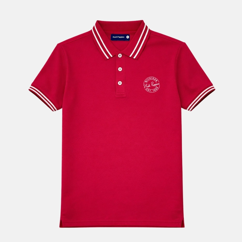 Men's Regular Fit Fashion Polo | Cotton | HMP579796