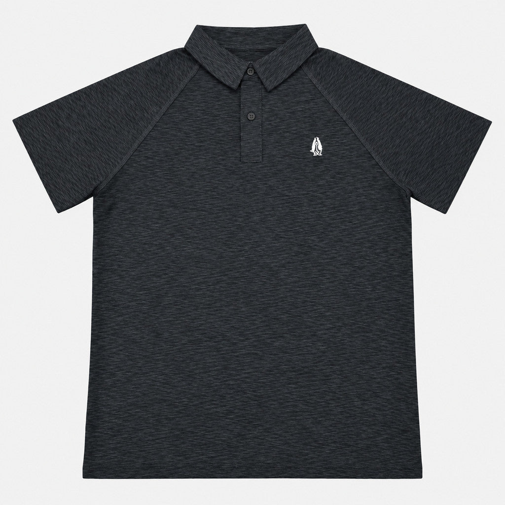 Men's Raglan Active Polo | Quick Dry | HMP651014