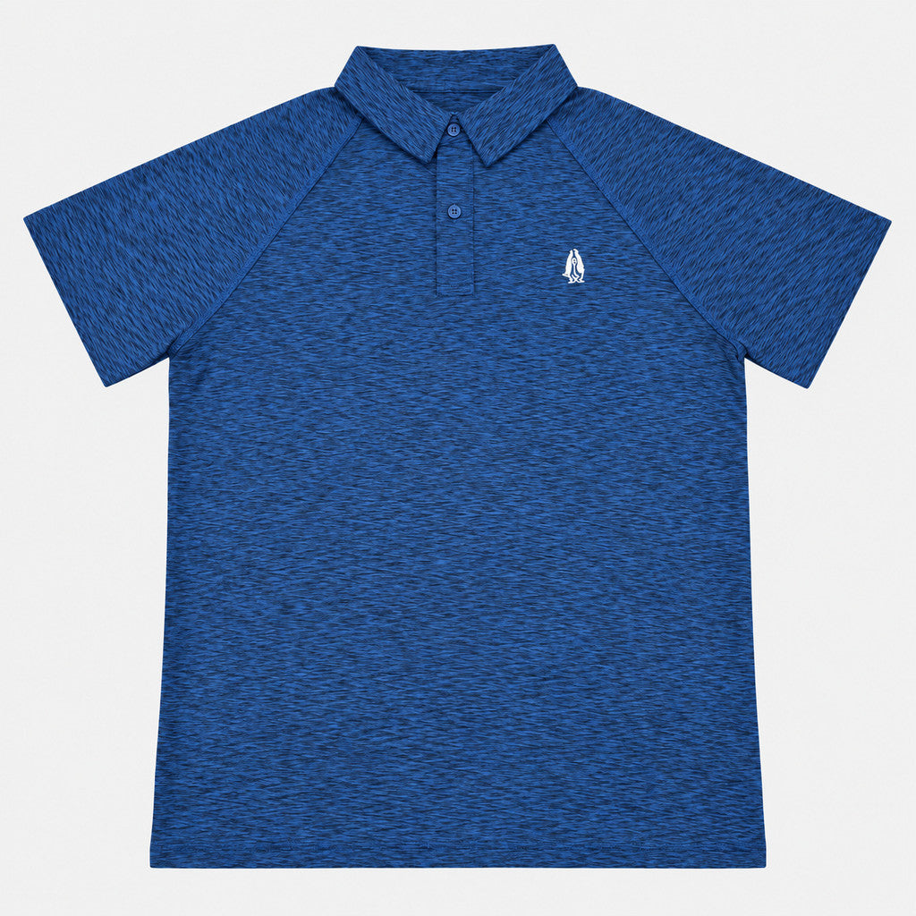 Men's Raglan Active Polo | Quick Dry | HMP651014